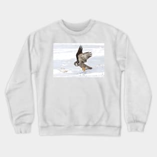 Northern Hawk-Owl Crewneck Sweatshirt